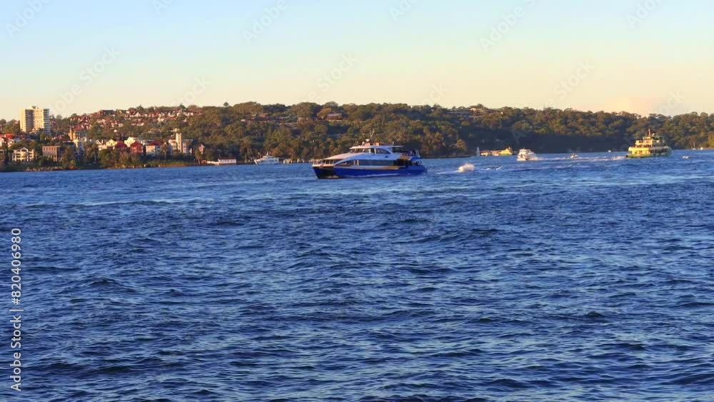 Wall mural sydney harbour forshore viewed from the gardens in nsw australia on a nice sunny and partly cloudy a