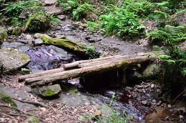 Mt.Hokyo is a 461-meter-high mountain located in the northeastern part of Tsukuba City, Ibaraki JAPAN. To the east, you can see Kasumigaura, which is the second largest in Japan, and the Pacific Ocean