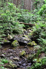 Mt.Hokyo is a 461-meter-high mountain located in the northeastern part of Tsukuba City, Ibaraki JAPAN. To the east, you can see Kasumigaura, which is the second largest in Japan, and the Pacific Ocean