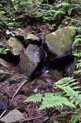 Mt.Hokyo is a 461-meter-high mountain located in the northeastern part of Tsukuba City, Ibaraki JAPAN. To the east, you can see Kasumigaura, which is the second largest in Japan, and the Pacific Ocean