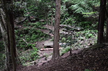 Mt.Hokyo is a 461-meter-high mountain located in the northeastern part of Tsukuba City, Ibaraki JAPAN. To the east, you can see Kasumigaura, which is the second largest in Japan, and the Pacific Ocean