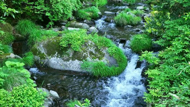 Drone aerial view of a beautiful mountain stream. Beautiful flowing water.