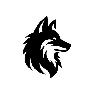Silhouette of wolf dog siberian husky  alaskan malamute