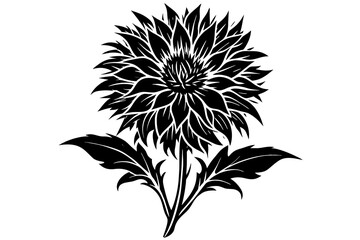 cornflower vector silhouette illustration