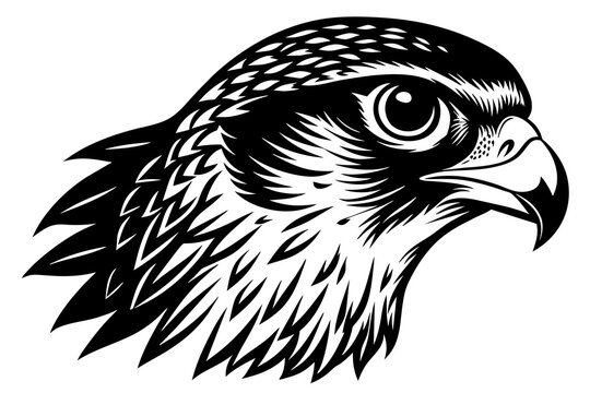 recommend clip art: falcon head vector silhouette illustration