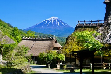 西湖いやしの里 根場からの富士山（山梨県・富士河口湖町）