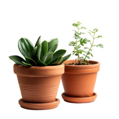 Terracotta pots, for plants, isolated on  transparent background, highlighting natural material and decor