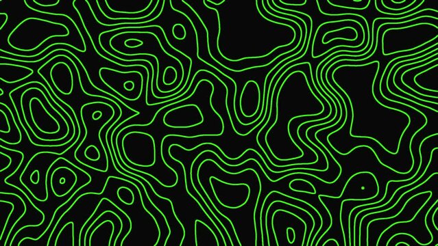 Video of flowing green lines on a black background, topographical style