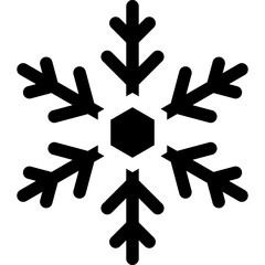 snowflake icon