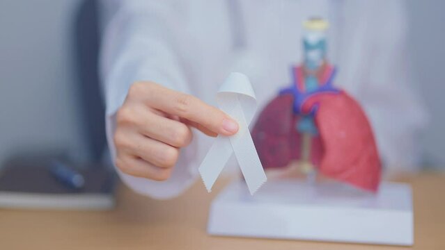 November Lung Cancer Awareness month. Doctor with Smoker Lung anatomy model and White ribbon in hospital. Healthcare and World Cancer day concept