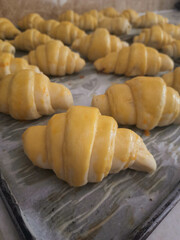 Croissant dough is ready in the oven.