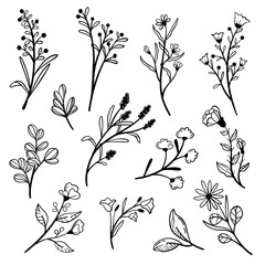 floral line art collection