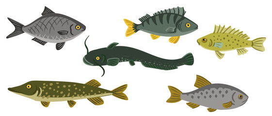 Vector drawing set of fishes, Eurasian ruffe, rutilus roach, northern pike, freshwater bream, wells catfish and perch isolated at white background, hand drawn vector illustration