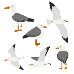 vector drawing birds, hand drawn herring gull , isolated nature design element