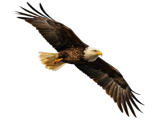 Fototapeta premium freedom