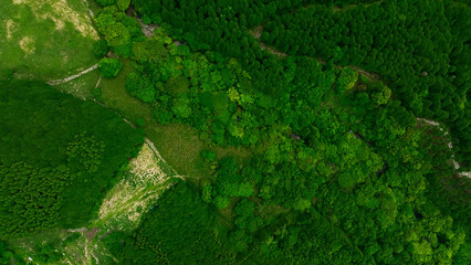 丘陵地帯の草原　真俯瞰空撮