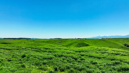 草原の風景　空撮