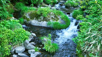 Drone aerial view of a beautiful mountain stream. Beautiful flowing water.