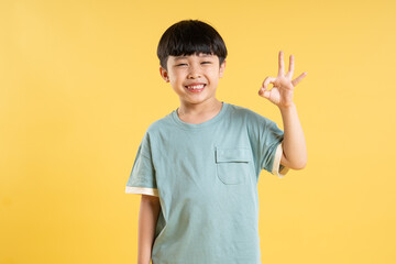 Portrait of adorable asian boy posing on yellow background