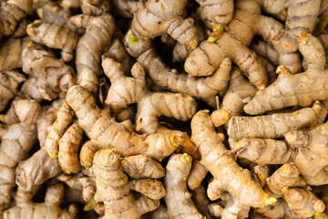 closed up of turmeric rhizome