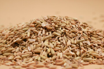 jeera cumin seeds close up ,