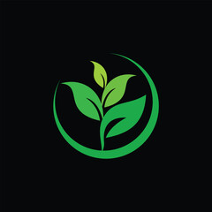 Safe tree logo and brand identity
