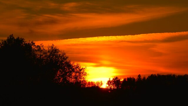 Deep orange sunset sky with plane chemtrail and forest silhouette, Latvia
