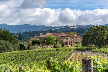 Naklejka premium Picturesque Wine Estate, With a Grand Chateau Overlooking Rolling Hills Adorned With Vineyards, Generative AI
