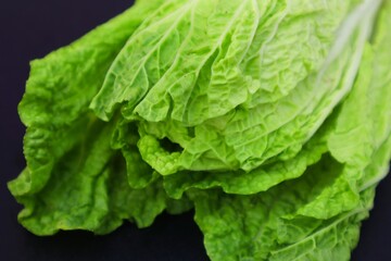Fresh chicory or Brassica pekinensis L close up, on dark background.