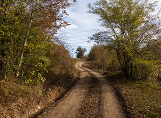 dirt road leading to the forest, autumn motif and the state of nature