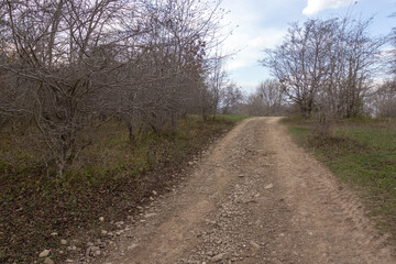 dirt road leading to the forest, autumn motif and the state of nature