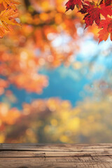 Naklejka na ściany i meble A wooden desk top with blurred background of maple tree with autumn foliage. Good for background 