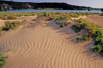 Saba island Zubair Group