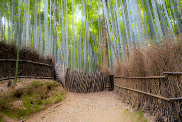 Arashiyama is a district on the western outskirts of Kyoto, Japan. It also refers to the mountain...