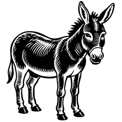 a-donkey vector design 