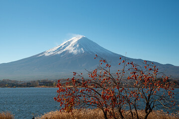 Mount Fuji, the iconic symbol of Japan, during the season of autumn foliage, a period of...