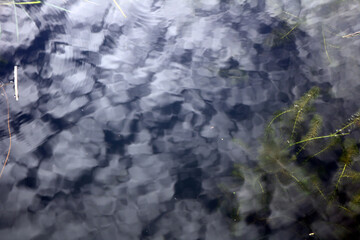 clouds with Calm weather over the water. Ocean with clouds on a background of green trees and blue sky