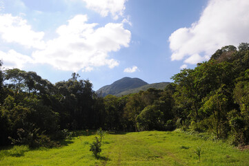 Fototapeta premium Três Picos State Park.Located in the Serra do Mar, in the mountainous region of the city of Nova Friburgo, in the state of Rio de Janeiro