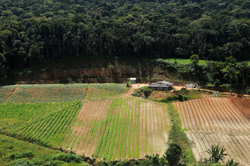 Rio de Janeiro, Brazil, April 4, 2024.Vegetable plantation in the mountainous region of the city of Nova Friburgo, in the state of Rio de Janeiro