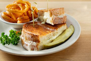 A closeup view of a grilled cheese sandwich.