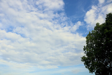 Obraz premium clouds with Calm weather over the water. Ocean with clouds on a background of green trees and blue sky
