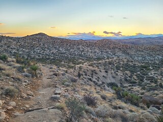 The Colorado Desert at sunset in Joshua Tree National Park, California