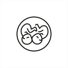 Twins icon. A graphic representation of a twin pregnancy, symbolizing the concept of multiple births with two embryos. Relevant for medical information regarding prenatal care. Vector illustration