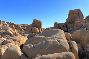 The Skull rock area is home to unique rock formations