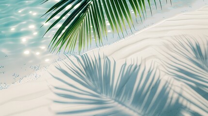 palm leaf shadow on abstract white sand beach background sun lights on water surface beautiful abstract background concept banner for summer vacation at the beach : Generative AI