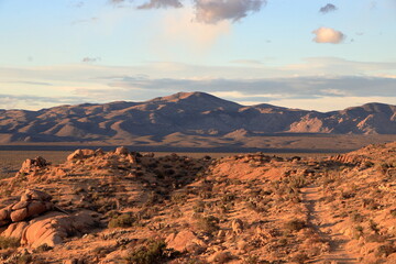 Naklejka premium Eagle Mountain and the Colorado desert at sunset, Joshua Tree National Park, California