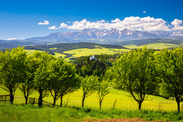 Mountain landscape in the Pieniny National Park at the foot of the Tatra Mountains. Pieniny Park is...