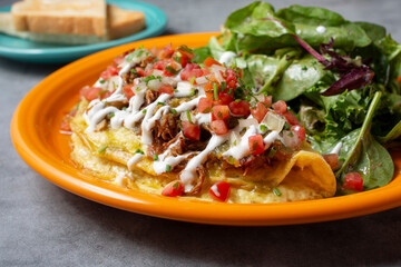 A view of a carnitas omelet plate.