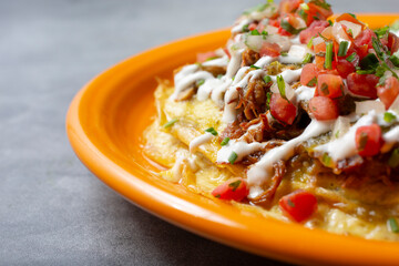 A closeup view of a carnitas omelet, on the right side of the frame.