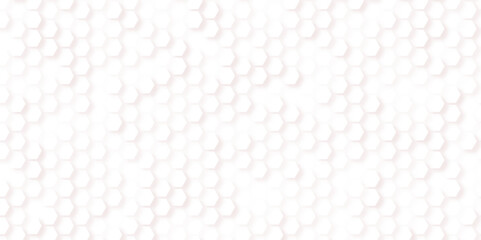 Abstract geometric background. vector illustration. wallpaper hexagon. modern background. soft white background